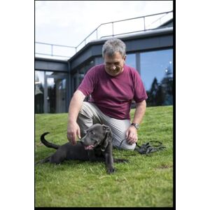 Hellinger, Josef Hund Hundemensch Hundetrainer: Die Geschichte des Menschen und seines Hundes Hellinger, Josef Hund Hundemensch Hundetrainer: Die Geschichte des Menschen und seines Hundes