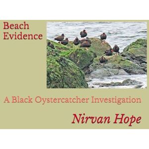 Hope, Nirvan Beach Evidence: A Black Oystercatcher Investigation Hope, Nirvan Beach Evidence: A Black Oystercatcher Investigation