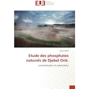 Bezzi, Nacer Etude des phosphates naturels de Djebel Onk: caractérisation et valorisation Bezzi, Nacer Etude des phosphates naturels de Djebel Onk: caractérisation et valorisation