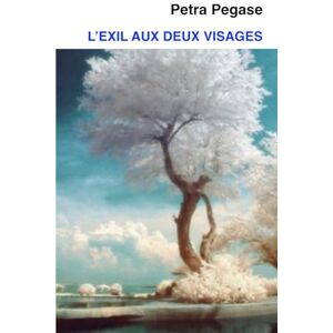 Pegase, Petra L'EXIL AUX DEUX VISAGES Pegase, Petra L'EXIL AUX DEUX VISAGES