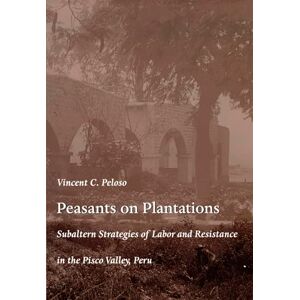 Vincent Peasants on Plantations: Subaltern Strategies of Labor and Resistance in the Pisco Valley, Peru (Latin America Otherwise) Vincent Peasants on Plantations: Subaltern Strategies of Labor and Resistance in the Pisco Valley, Peru (Latin America Otherwise)