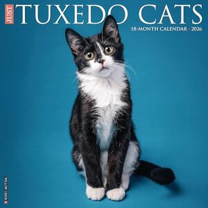 Willow Creek Press Tuxedo Cats 2026 Wall Calendar Willow Creek Press Tuxedo Cats 2026 Wall Calendar
