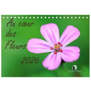 Martzel, Thomas Au coeur des fleurs (Calendrier de bureau 2026 DIN A5 vertical), CALVENDO calendrier mensuel: Une immersion délicate au plus près des pétales, où ... vibrantes et la poésie cachée de la nature. Martzel, Thomas Au coeur des fleurs (Calendrier de bureau 2026 DIN A5 vertical), CALVENDO calendrier mensuel: Une immersion délicate au plus près des pétales, où ... vibrantes et la poésie cachée de la nature.