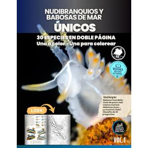 Español, Zenofauna Nudibranquios y babosas de mar Únicos: Libro ilustrado educativo con 30 especies marinas: fichas culturales a color y páginas para colorear, ideal para niños, jóvenes y familias curiosas Español, Zenofauna Nudibranquios y babosas de mar Únicos: Libro ilustrado educativo con 30 especies marinas: fichas culturales a color y páginas para colorear, ideal para niños, jóvenes y familias curiosas