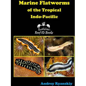 Ryanskiy, Andrey Marine Flatworms of the Tropical Indo-Pacific: 1 (Coral Reef Academy: Indo-Pacific Photo Guides) Ryanskiy, Andrey Marine Flatworms of the Tropical Indo-Pacific: 1 (Coral Reef Academy: Indo-Pacific Photo Guides)
