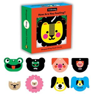 Mudpuppy How Are You Feeling? Shaped Ring Flash Cards Mudpuppy How Are You Feeling? Shaped Ring Flash Cards