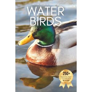 Earthley, Owen Picture Book of Graceful Water Birds: A Peaceful Collection of Real Bird Photography for Seniors Living with Memory Loss, Alzheimer’s, or Dementia (Birds Coffee Table Books) Earthley, Owen Picture Book of Graceful Water Birds: A Peaceful Collection of Real Bird Photography for Seniors Living with Memory Loss, Alzheimer’s, or Dementia (Birds Coffee Table Books)