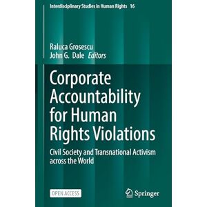 Corporate Accountability for Human Rights Violations: Civil Society and Transnational Activism across the World (Interdisciplinary Studies in Human Rights, 16) Corporate Accountability for Human Rights Violations: Civil Society and Transnational Activism across the World (Interdisciplinary Studies in Human Rights, 16)