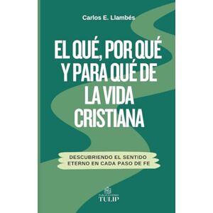 E. Llambés, Carlos El qué, porqué y para qué de la vida Cristiana: Descubriendo el sentido eterno en cada paso de fe E. Llambés, Carlos El qué, porqué y para qué de la vida Cristiana: Descubriendo el sentido eterno en cada paso de fe