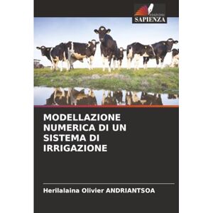 ANDRIANTSOA, Herilalaina Olivier MODELLAZIONE NUMERICA DI UN SISTEMA DI IRRIGAZIONE ANDRIANTSOA, Herilalaina Olivier MODELLAZIONE NUMERICA DI UN SISTEMA DI IRRIGAZIONE