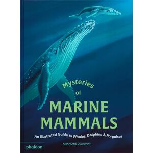 Delaunay, Amandine Mysteries of Marine Mammals: An Illustrated Guide to Whales, Dolphins, and Porpoises Delaunay, Amandine Mysteries of Marine Mammals: An Illustrated Guide to Whales, Dolphins, and Porpoises