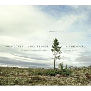 Rachel Sussman The Oldest Living Things in the World Rachel Sussman The Oldest Living Things in the World