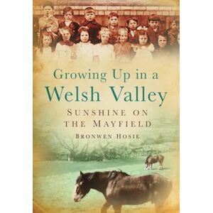 Hosie, Bronwen Growing Up in a Welsh Valley Hosie, Bronwen Growing Up in a Welsh Valley