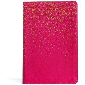 Holman Bible Publishers KJV Kids Bible, Pink Leathertouch: King James Verson, Pink, Leathertouch, Gold Page Edges, The Old and New Testaments Holman Bible Publishers KJV Kids Bible, Pink Leathertouch: King James Verson, Pink, Leathertouch, Gold Page Edges, The Old and New Testaments