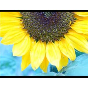 Lombardo, DRA María EL ESPEJO ROTO: Cuando el Amor se Convierte en Arma: Una Mirada Clínica al Maltrato Invisible Lombardo, DRA María EL ESPEJO ROTO: Cuando el Amor se Convierte en Arma: Una Mirada Clínica al Maltrato Invisible