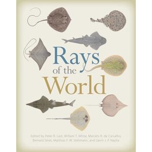 Care+ Rays of the World Care+ Rays of the World