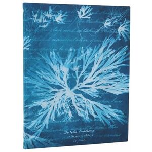 Paperblanks Sea Flowers (Anna Atkins’ Cyanotypes) Ultra Unlined Softcover Journal (Elastic Band Closure) Paperblanks Sea Flowers (Anna Atkins’ Cyanotypes) Ultra Unlined Softcover Journal (Elastic Band Closure)
