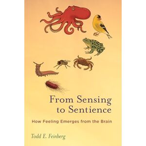 Feinberg, Todd E. From Sensing to Sentience: How Feeling Emerges from the Brain Feinberg, Todd E. From Sensing to Sentience: How Feeling Emerges from the Brain