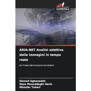Aghazadeh, Hamed ARIA-NET Analisi adattiva delle immagini in tempo reale: per il triage delle emergenze neurologiche Aghazadeh, Hamed ARIA-NET Analisi adattiva delle immagini in tempo reale: per il triage delle emergenze neurologiche