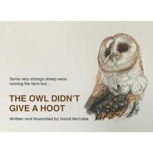 MCCABE, DAVID THE OWL DIDN’T GIVE A HOOT: WRITTEN AND ILLUSTRATED BY DAVID MCCABE MCCABE, DAVID THE OWL DIDN’T GIVE A HOOT: WRITTEN AND ILLUSTRATED BY DAVID MCCABE