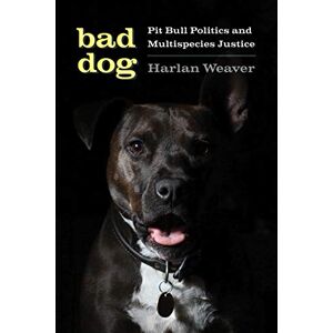 University of Washington Press Bad Dog: Pit Bull Politics and Multispecies Justice (Feminist Technosciences) University of Washington Press Bad Dog: Pit Bull Politics and Multispecies Justice (Feminist Technosciences)