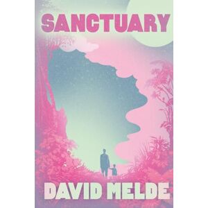 Melde, David Sanctuary: The Go David Chronicles Book Two: 2 Melde, David Sanctuary: The Go David Chronicles Book Two: 2