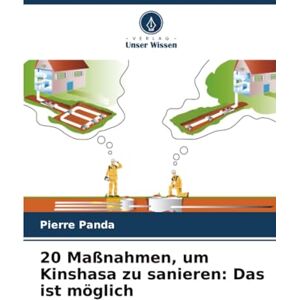 Panda 20 Maßnahmen, um Kinshasa zu sanieren: Das ist möglich Panda 20 Maßnahmen, um Kinshasa zu sanieren: Das ist möglich