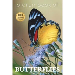 Press, Companion Picture Book of Butterflies: 100 Luminous Photos to Delight and Comfort People Living with Alzheimer’s, Dementia, or Limited Language Abilities: 3 (Companion Press Picture Books) Press, Companion Picture Book of Butterflies: 100 Luminous Photos to Delight and Comfort People Living with Alzheimer’s, Dementia, or Limited Language Abilities: 3 (Companion Press Picture Books)