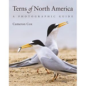 Cox, Cameron Terns of North America: A Photographic Guide Cox, Cameron Terns of North America: A Photographic Guide