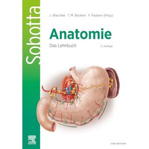Sobotta Anatomie Das Lehrbuch: Anatomie verstehen: Das Lehrbuch für Studierende der Human- und Zahnmedizin (VORKLINIK Lehrbuch Urban & Fischer-Verlag) Sobotta Anatomie Das Lehrbuch: Anatomie verstehen: Das Lehrbuch für Studierende der Human- und Zahnmedizin (VORKLINIK Lehrbuch Urban & Fischer-Verlag)