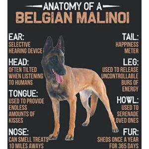 Huyen, Trang Anatomy of a Belgian Malinoi Funny Dogs Lover Gift: Journal / Notebook / Diary, 120 Blank Lined Pages, 6 x 9 inches, Matte Finish Cover, Great Gift For Kids And Adults Huyen, Trang Anatomy of a Belgian Malinoi Funny Dogs Lover Gift: Journal / Notebook / Diary, 120 Blank Lined Pages, 6 x 9 inches, Matte Finish Cover, Great Gift For Kids And Adults