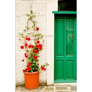 Brakowski, Sonia Annette Opens The Door, A Memoir: Grieving Mother receives message from her young daughter who passed on, 37 years after her death. Brakowski, Sonia Annette Opens The Door, A Memoir: Grieving Mother receives message from her young daughter who passed on, 37 years after her death.