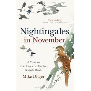 Dilger, Mike Nightingales in November: A Year in the Lives of Twelve British Birds Dilger, Mike Nightingales in November: A Year in the Lives of Twelve British Birds