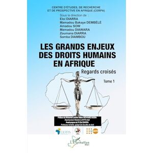Les grands enjeux des droits humains en Afrique: Regards croisés Tome 1 Les grands enjeux des droits humains en Afrique: Regards croisés Tome 1