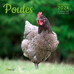 ARTEMIS Calendrier Poules 2024: Calendrier de septembre 2023 à décembre 2024 ARTEMIS Calendrier Poules 2024: Calendrier de septembre 2023 à décembre 2024