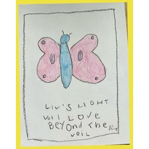 Gilbert, Culley Lynn Liv's Light: Love Beyond The Veil Gilbert, Culley Lynn Liv's Light: Love Beyond The Veil