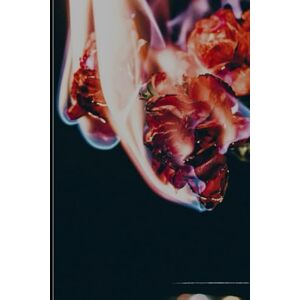 Writer, PaperHeart Ubi tu, Ibi Ego Writer, PaperHeart Ubi tu, Ibi Ego