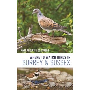 Ed Stubbs Where to Watch Birds in Surrey and Sussex Ed Stubbs Where to Watch Birds in Surrey and Sussex