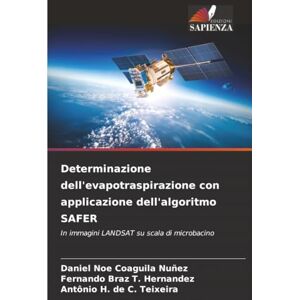 Coaguila Nuñez, Daniel Noe Determinazione dell'evapotraspirazione con applicazione dell'algoritmo SAFER: In immagini LANDSAT su scala di microbacino Coaguila Nuñez, Daniel Noe Determinazione dell'evapotraspirazione con applicazione dell'algoritmo SAFER: In immagini LANDSAT su scala di microbacino