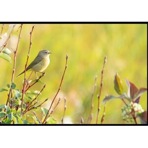 Price, Dr Christopher J Therapia a Natura: Therapy from Nature Price, Dr Christopher J Therapia a Natura: Therapy from Nature