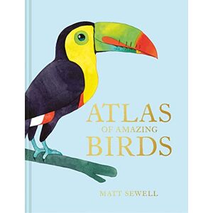 Sewell, Matt Atlas of Amazing Birds: An illustrated children’s non-fiction encyclopedia of amazing birds of the world Sewell, Matt Atlas of Amazing Birds: An illustrated children’s non-fiction encyclopedia of amazing birds of the world