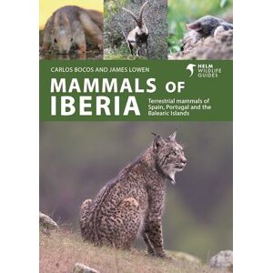 James Lowen Mammals of Iberia: Terrestrial mammals of Spain, Portugal and the Balearic Islands (Helm Wildlife Guides) James Lowen Mammals of Iberia: Terrestrial mammals of Spain, Portugal and the Balearic Islands (Helm Wildlife Guides)
