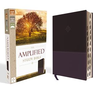 Zondervan The Amplified Study Bible, Leathersoft, Purple, Thumb Indexed: Amplified Study Bible, Purple, Imitation Leather, Ribbon Marker Zondervan The Amplified Study Bible, Leathersoft, Purple, Thumb Indexed: Amplified Study Bible, Purple, Imitation Leather, Ribbon Marker