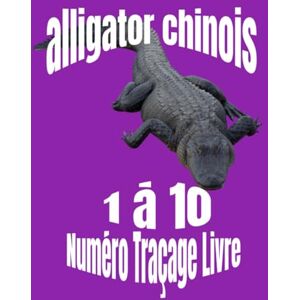Nicholson, Debbie alligator chinois 1 à 10 Numéro Traçage Livre:: apprendre à compter pour les tout-petits, apprendre à tracer des lettres (Number Tracing for Kids 3 to 5) Nicholson, Debbie alligator chinois 1 à 10 Numéro Traçage Livre:: apprendre à compter pour les tout-petits, apprendre à tracer des lettres (Number Tracing for Kids 3 to 5)