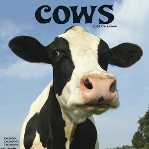 Avonside Publishing Ltd Cows 2025 Square Wall Calendar Animal, Wildlife, Farm Calendar Avonside Publishing Ltd Cows 2025 Square Wall Calendar Animal, Wildlife, Farm Calendar