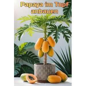 Svitana Papaya im Topf anbauen: Eine vollständige Schritt-für-Schritt-Anleitung zum Anbau von Papayas für Haus und Wohnung: von der Pflanzung bis zur Ernte (Früchte) Svitana Papaya im Topf anbauen: Eine vollständige Schritt-für-Schritt-Anleitung zum Anbau von Papayas für Haus und Wohnung: von der Pflanzung bis zur Ernte (Früchte)