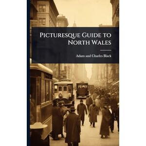 Black, Adam And Charles Picturesque Guide to North Wales Black, Adam And Charles Picturesque Guide to North Wales