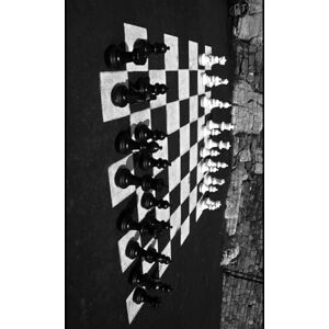 Williams, Richard Darrell The 32 Principles of Jiu-Jitsu — A Practitioner’s Manual: The Hidden Game Revealed Williams, Richard Darrell The 32 Principles of Jiu-Jitsu — A Practitioner’s Manual: The Hidden Game Revealed