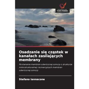 Iannacone, Stefano Osadzanie się cząstek w kanalach zasilających membrany: Porównanie membran odwróconej osmozy o strukturze mikrostrukturalnej i komercyjnych membran odwróconej osmozy Iannacone, Stefano Osadzanie się cząstek w kanalach zasilających membrany: Porównanie membran odwróconej osmozy o strukturze mikrostrukturalnej i komercyjnych membran odwróconej osmozy
