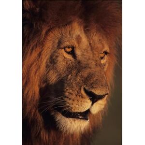 George, Chacko Mind That Matters: Understanding the Unconscious for a Meaningful Life (Human Mind) George, Chacko Mind That Matters: Understanding the Unconscious for a Meaningful Life (Human Mind)